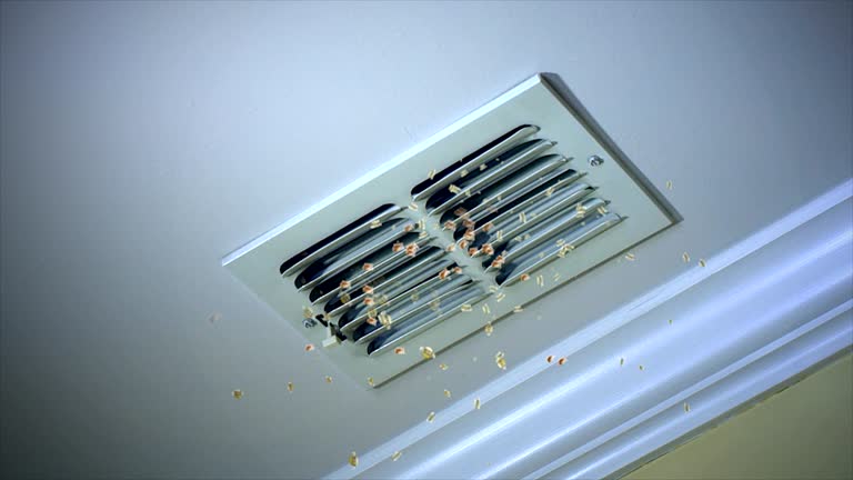 Best Dryer Vent Cleaning Services  in Ontario, OH
